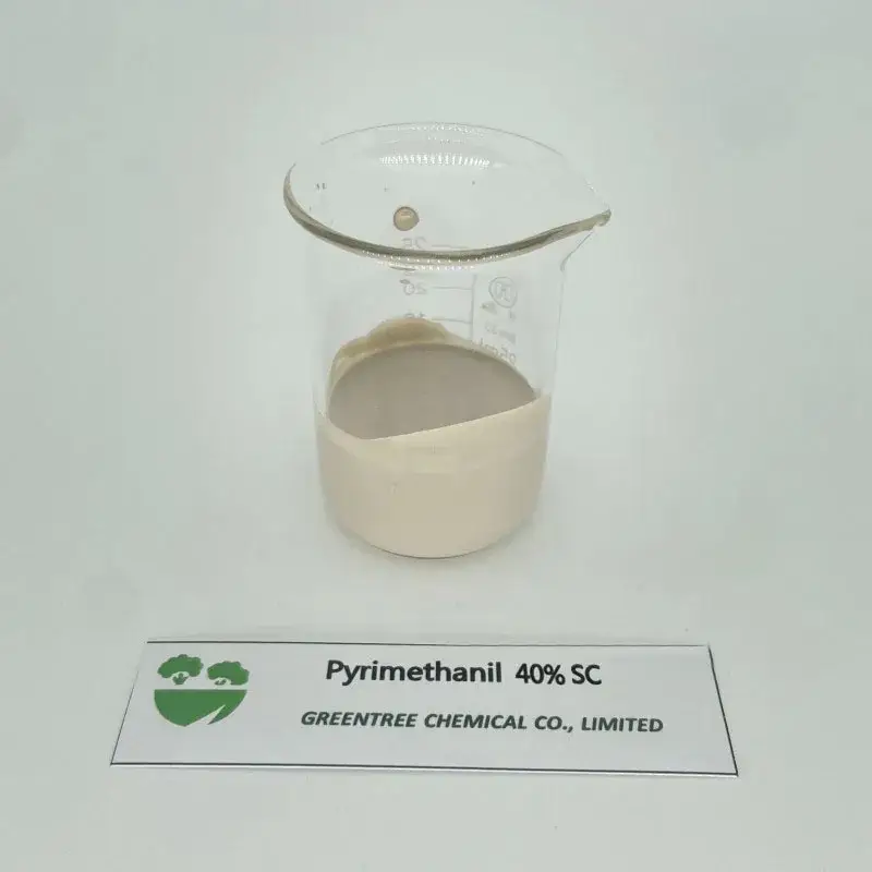 Thuốc diệt sâu và nấm Hữu cơ Pyrimethanil 40% Sc 400 G/L Sc cho cây trồng