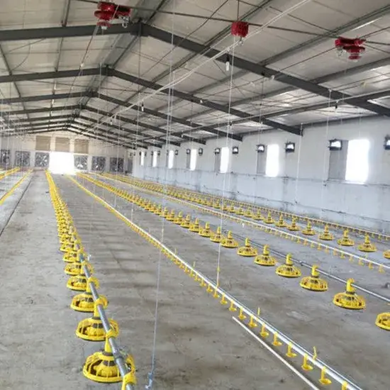 Thiết kế nhà chăn nuôi gia cầm linh hoạt để tối ưu hiệu quả chăm sóc gà
